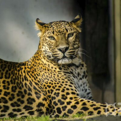 ZOO BRATISLAVA