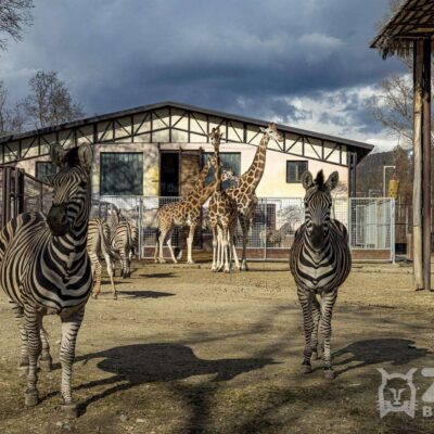 ZOO BRATISLAVA